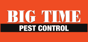 Big Time Pest Control